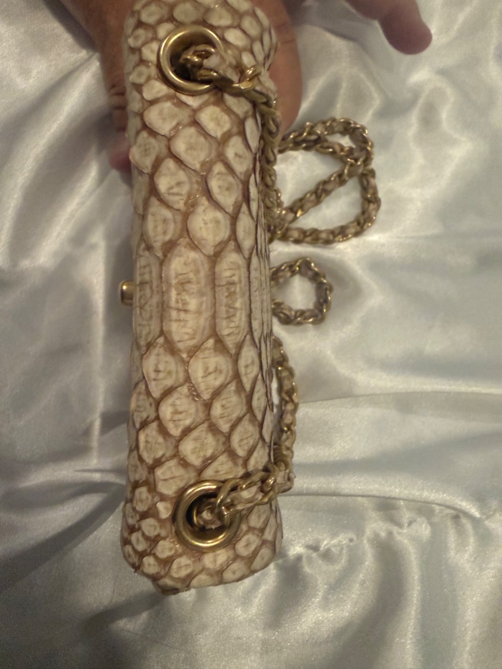 Chanel Python mini flap bag - Picture 6 of 15